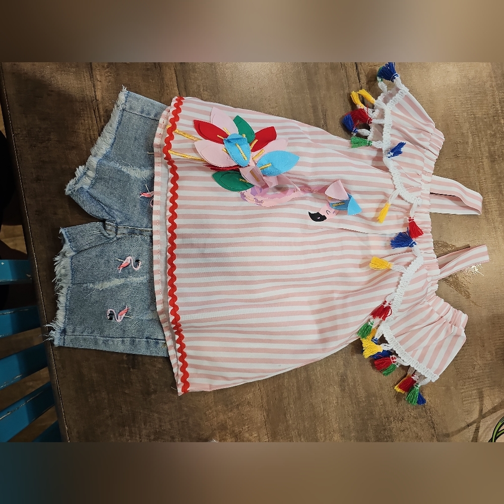 3t girls Flamingo shirt/short set